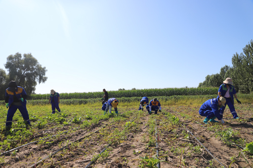 ���޹��ʡ�(����)���޹�˾����